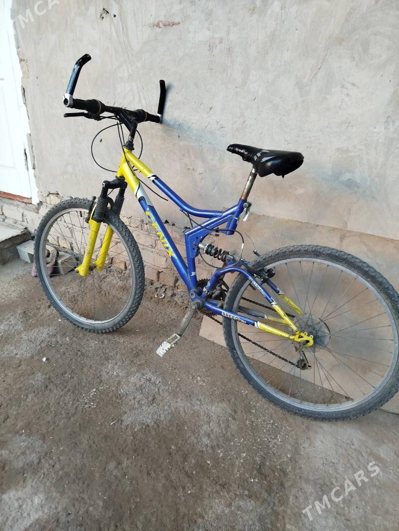 welosiped - Daşoguz - img 1