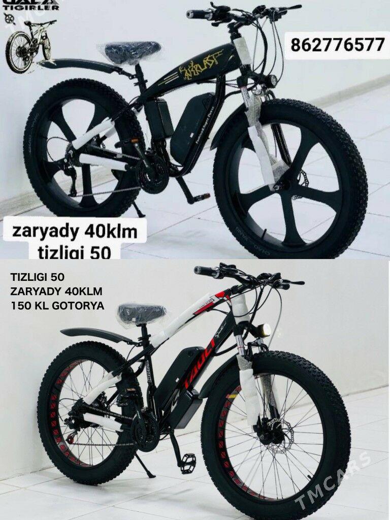 TOKLY SKUTER TIGIR MATOR - Gurtly - img 6