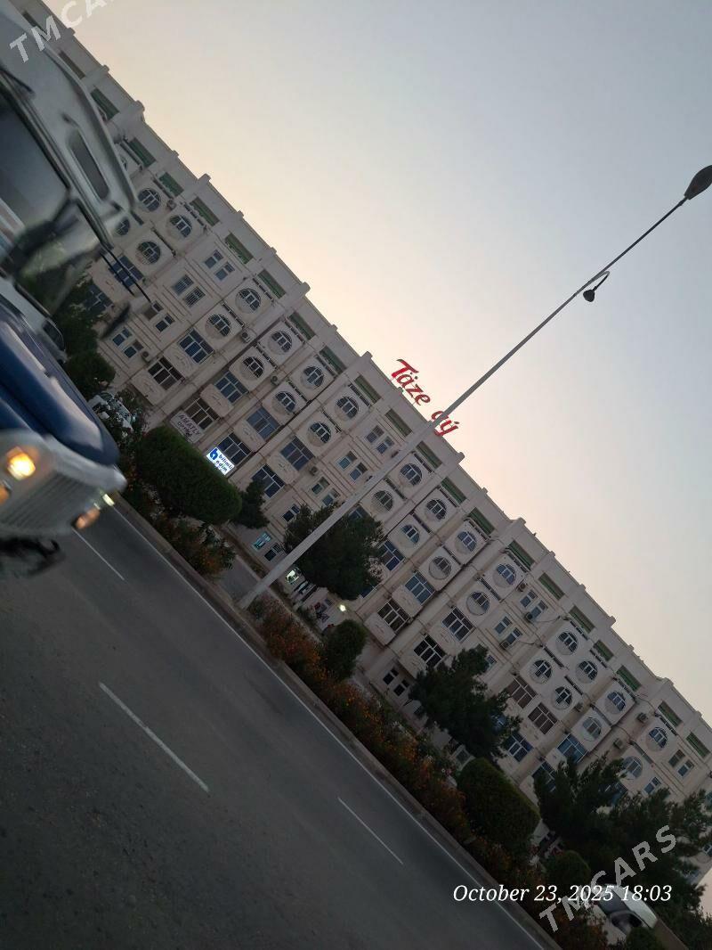 котята срочно - Türkmenabat - img 4