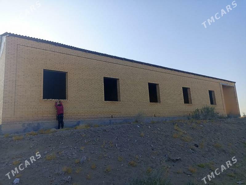 satlyk jay - Saýat - img 5