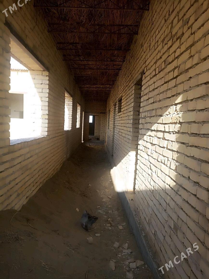 satlyk jay - Saýat - img 2