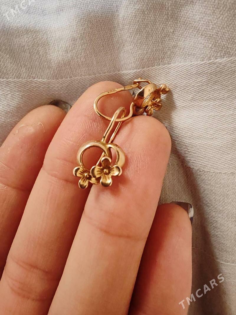 Gyzyl gulakhalka - Байрамали - img 2