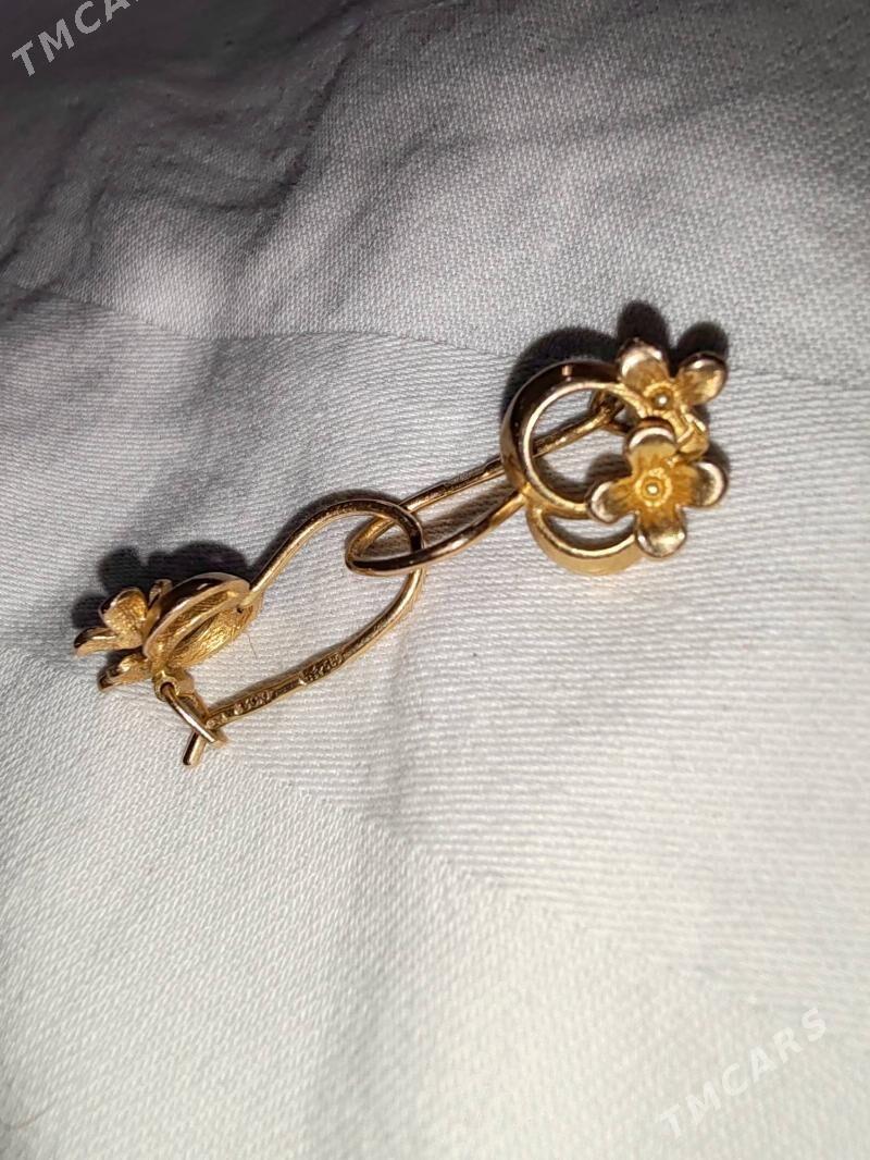 Gyzyl gulakhalka - Байрамали - img 3