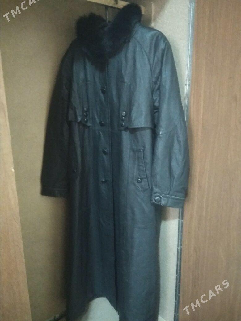 palto - Murgap - img 3