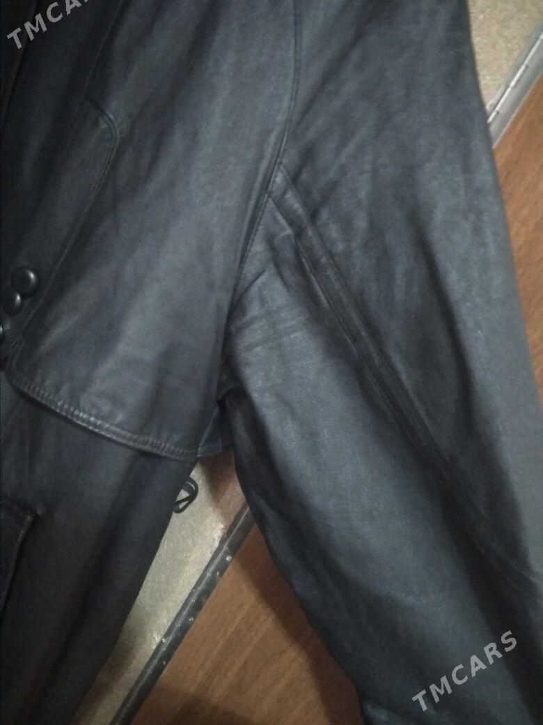 palto - Murgap - img 2