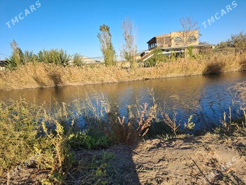 Tayyar jay daca - Şabat etr. - img 2