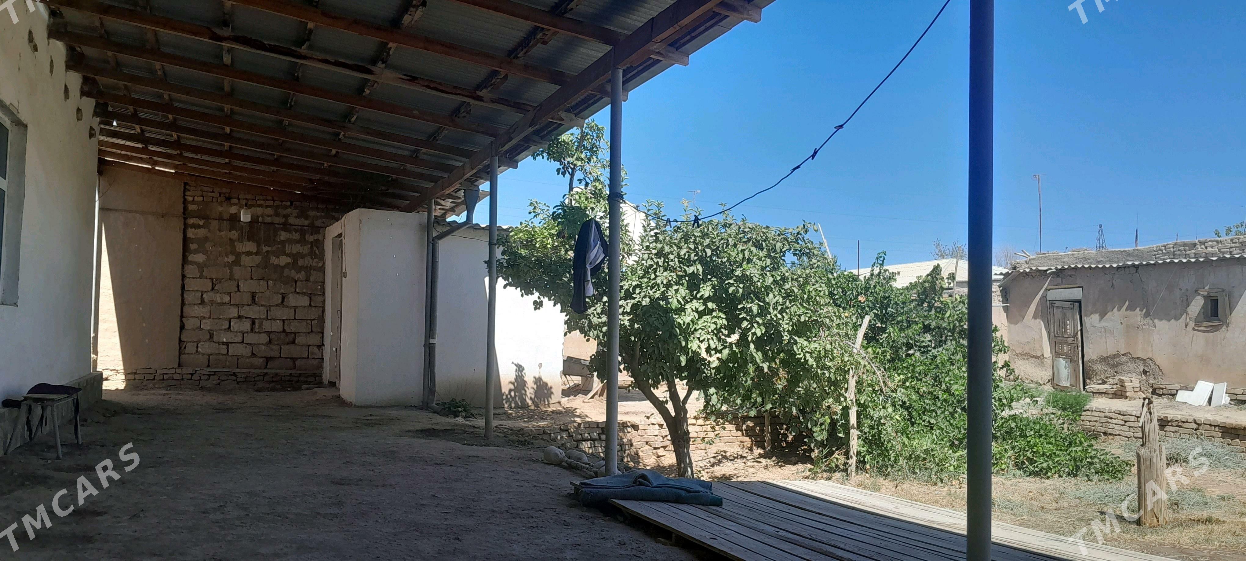 HOWLY PLAN JAŸ. GÖROGLY ŞÄHER. - Görogly (Tagta) - img 2