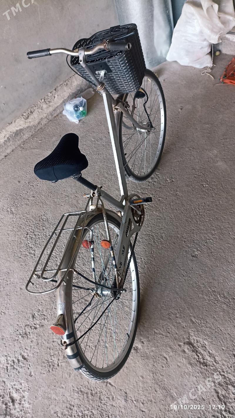 Welsoped 27 lik - Mary - img 4