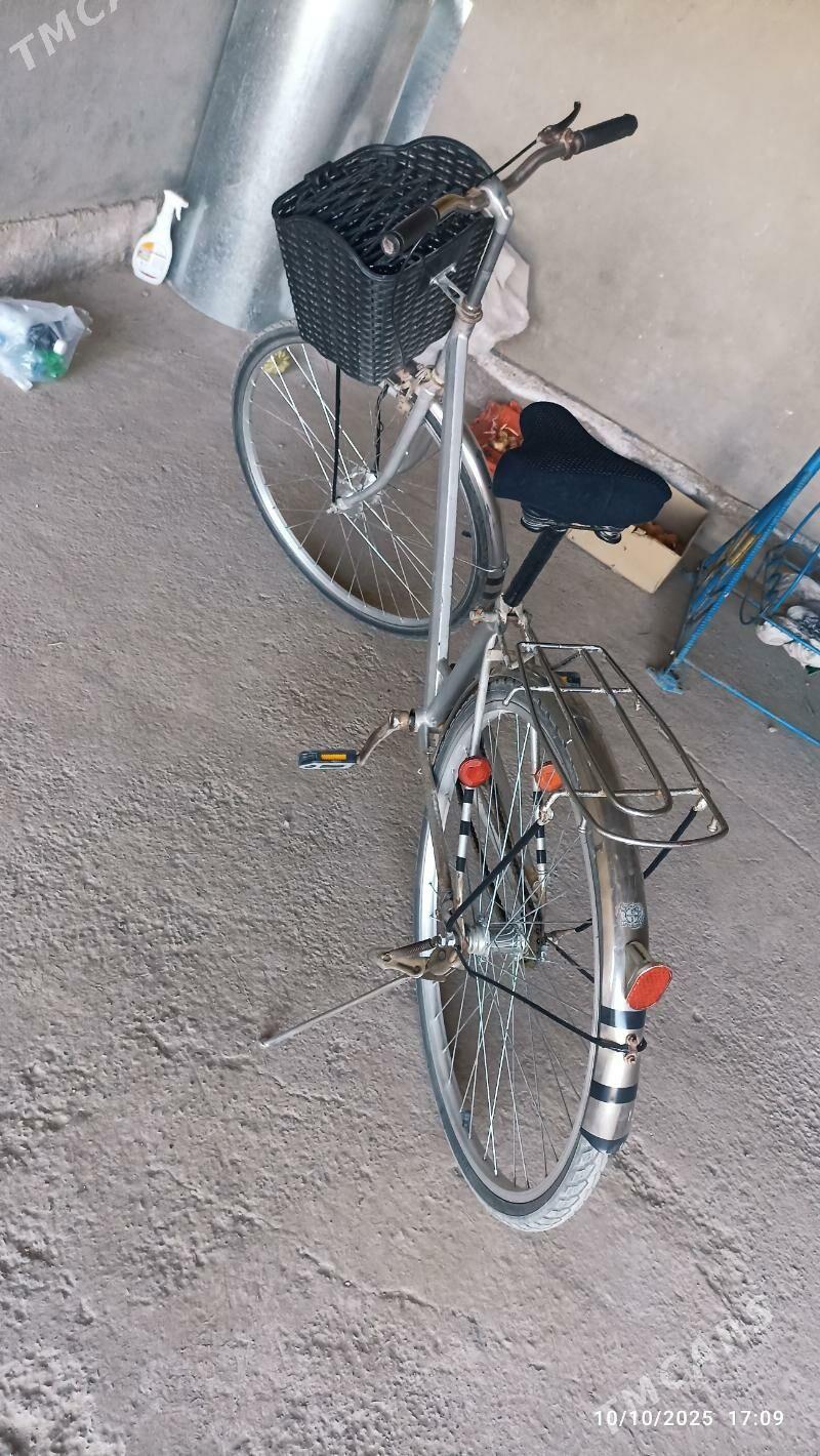 Welsoped 27 lik - Mary - img 5