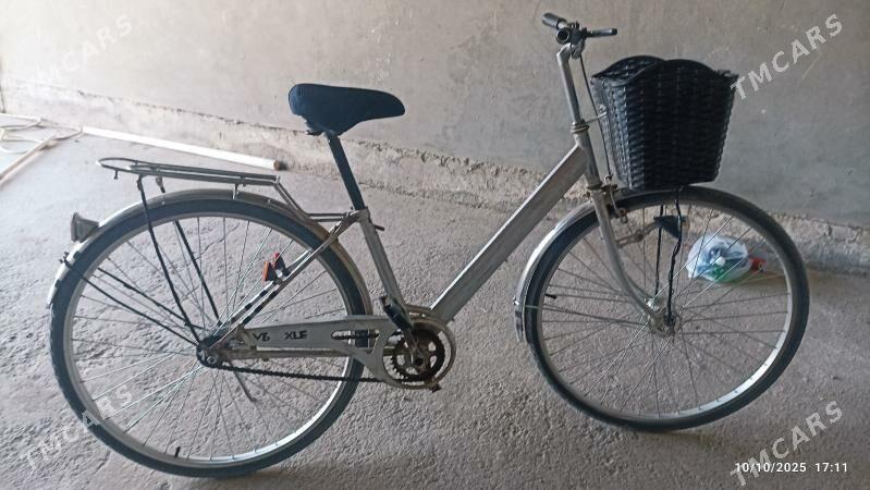 Welsoped 27 lik - Mary - img 3