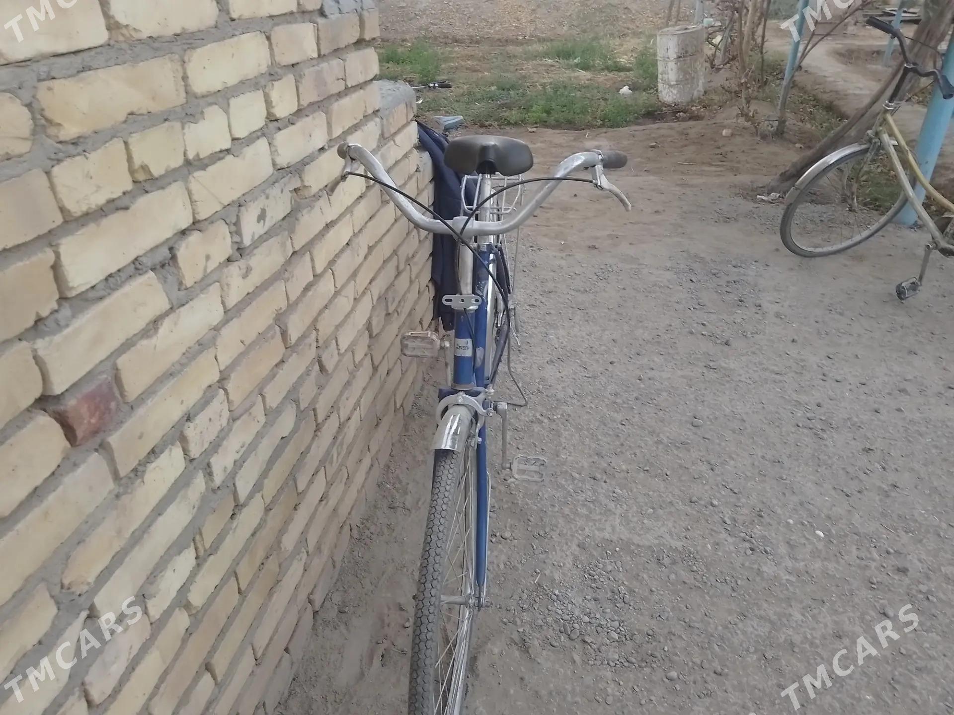 welosoped - Dänew - img 3