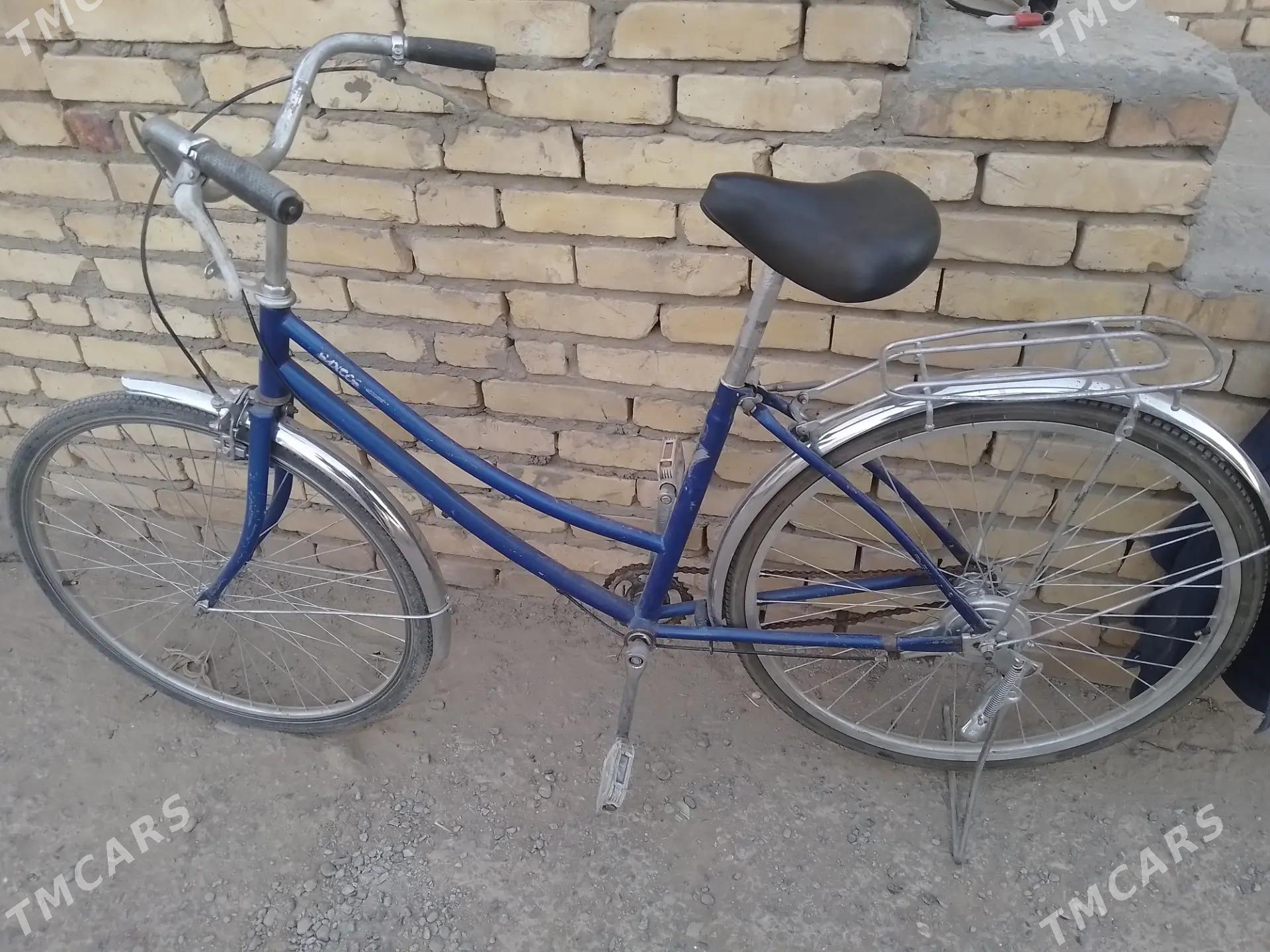 welosoped - Дянев - img 1