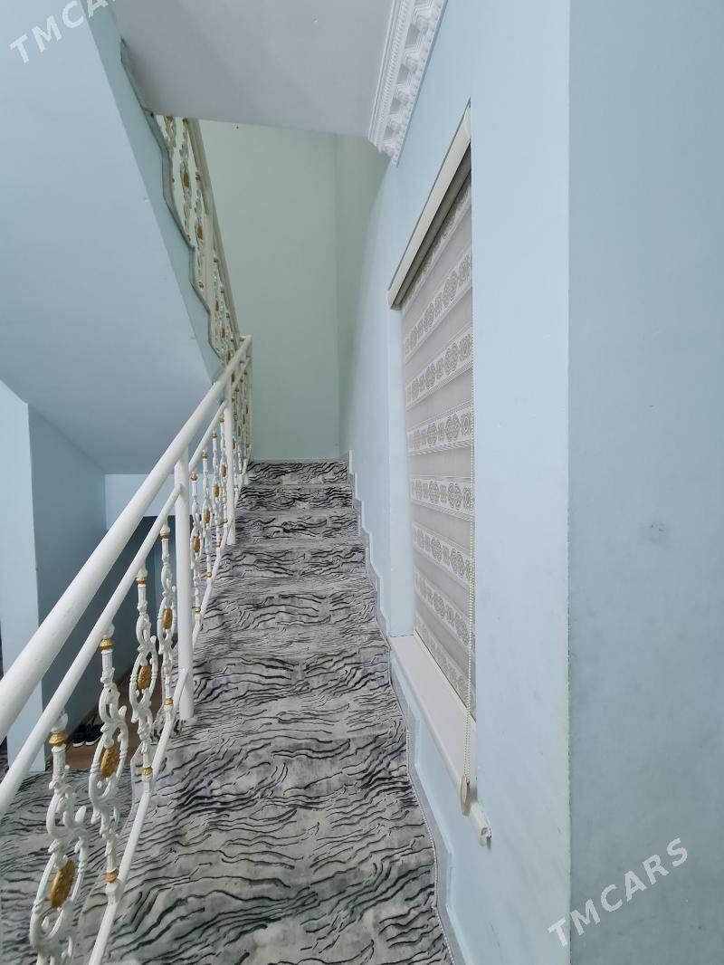 Arkaç katež - Çoganly - img 3