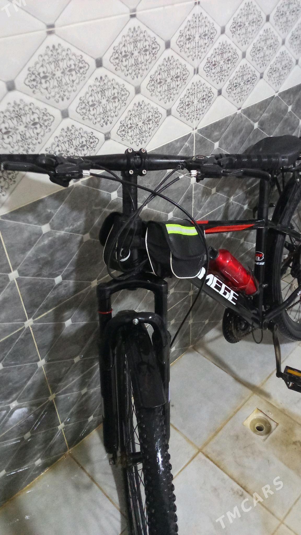 Tigir - Кёнеургенч - img 3