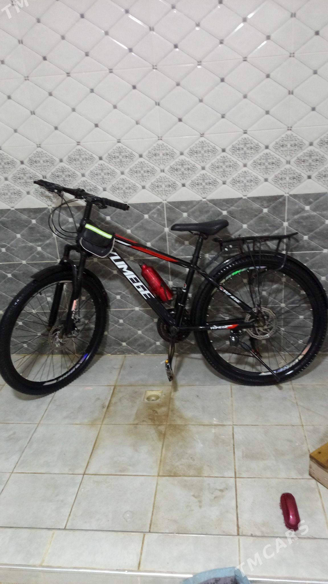 Tigir - Кёнеургенч - img 4