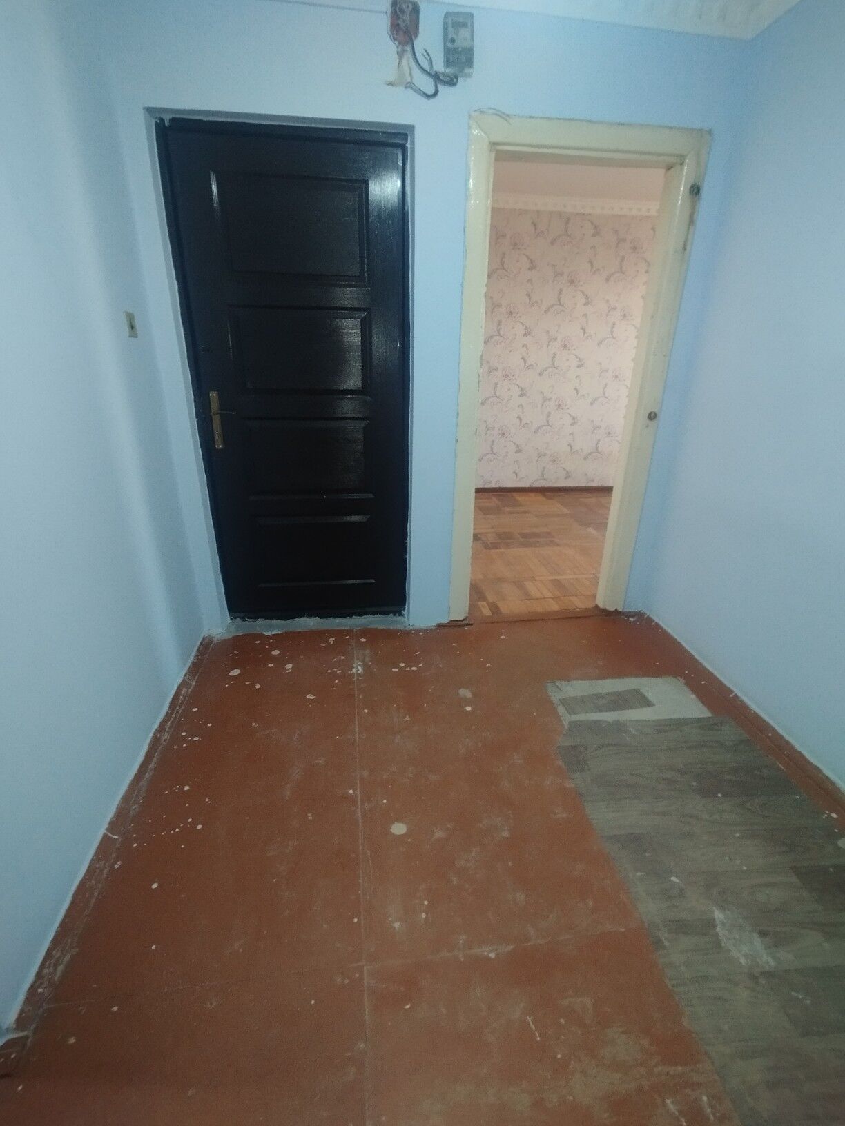 Satlyk jay - Мары - img 4