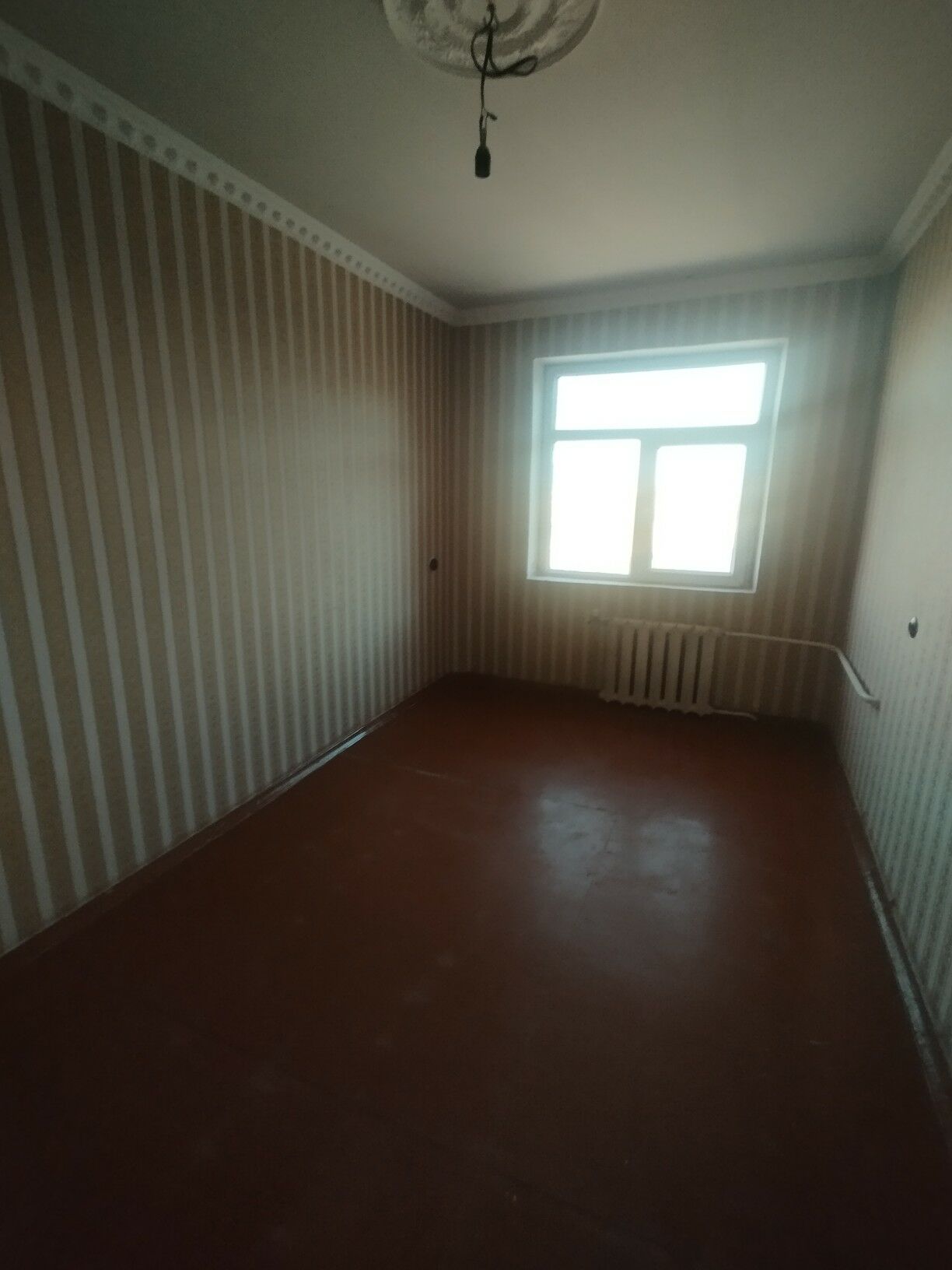 Satlyk jay - Мары - img 7