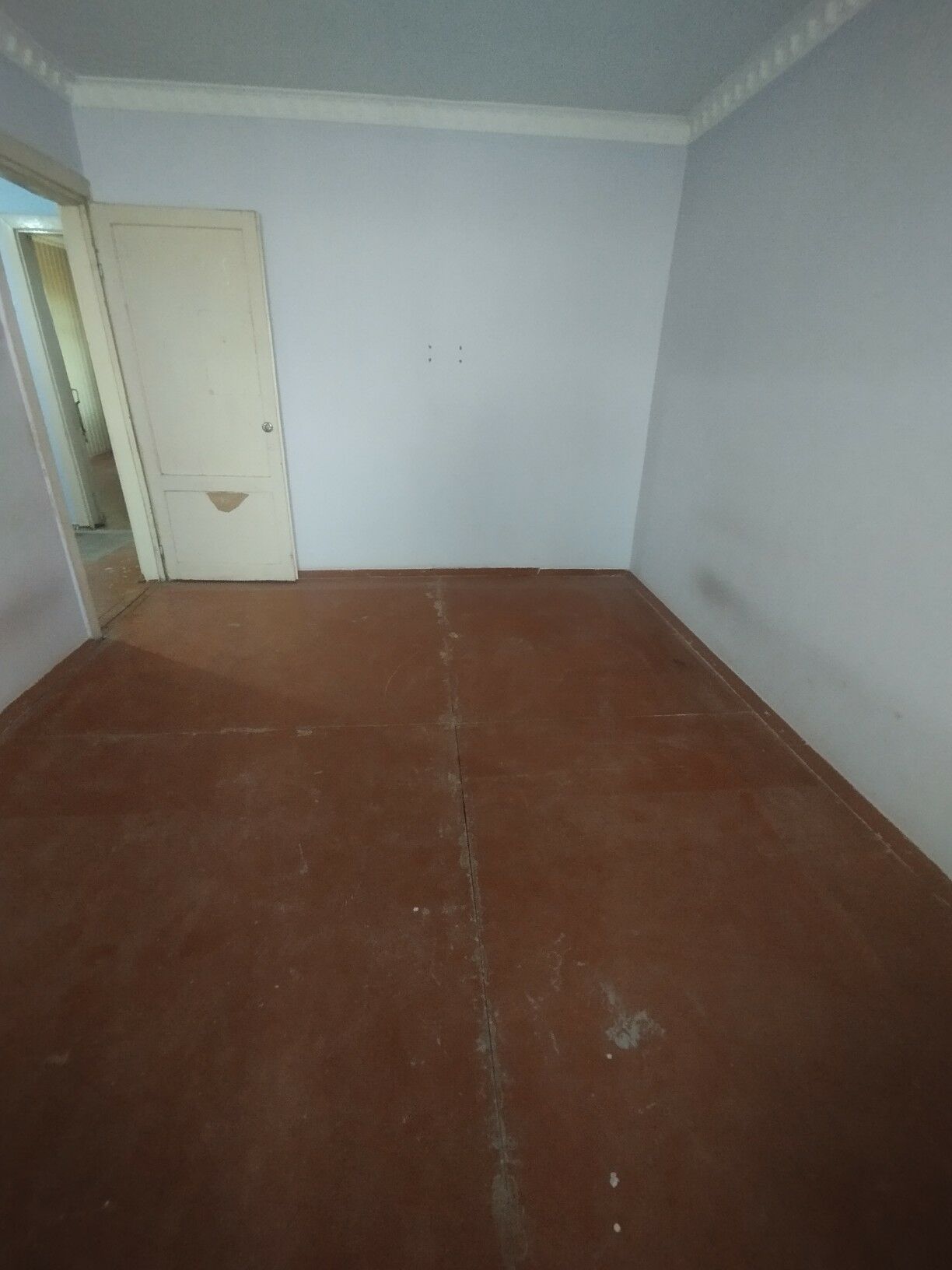 Satlyk jay - Мары - img 5