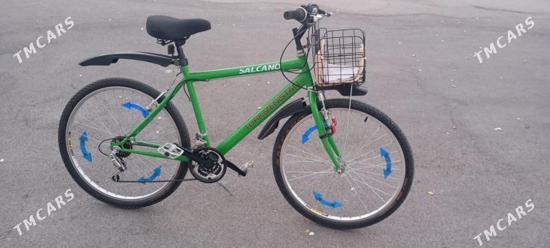 Tigir - Аркадаг - img 3