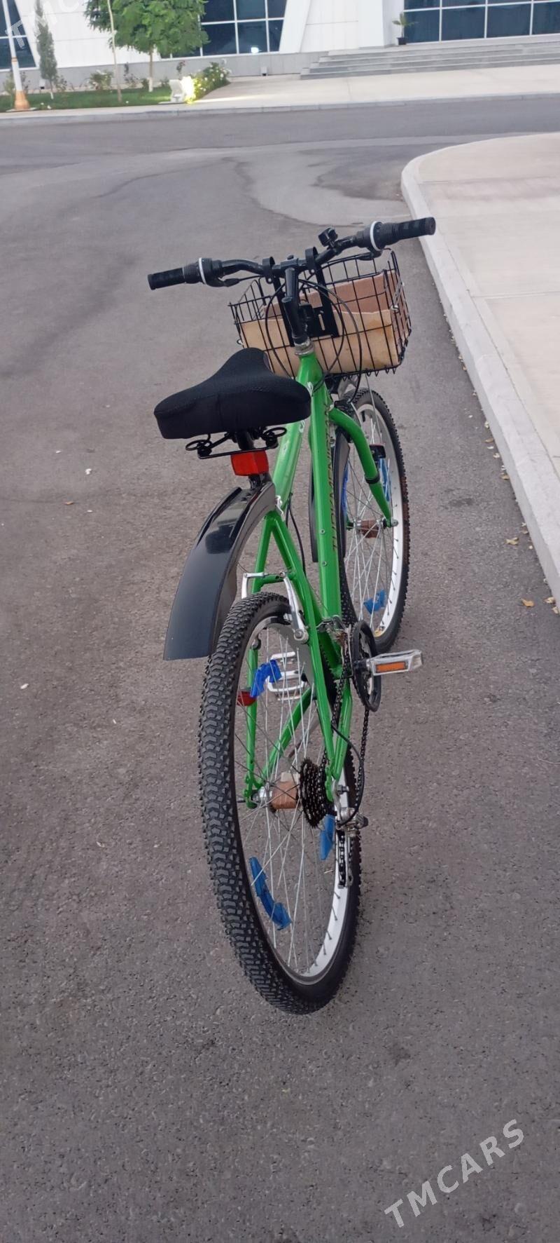 Tigir - Аркадаг - img 2