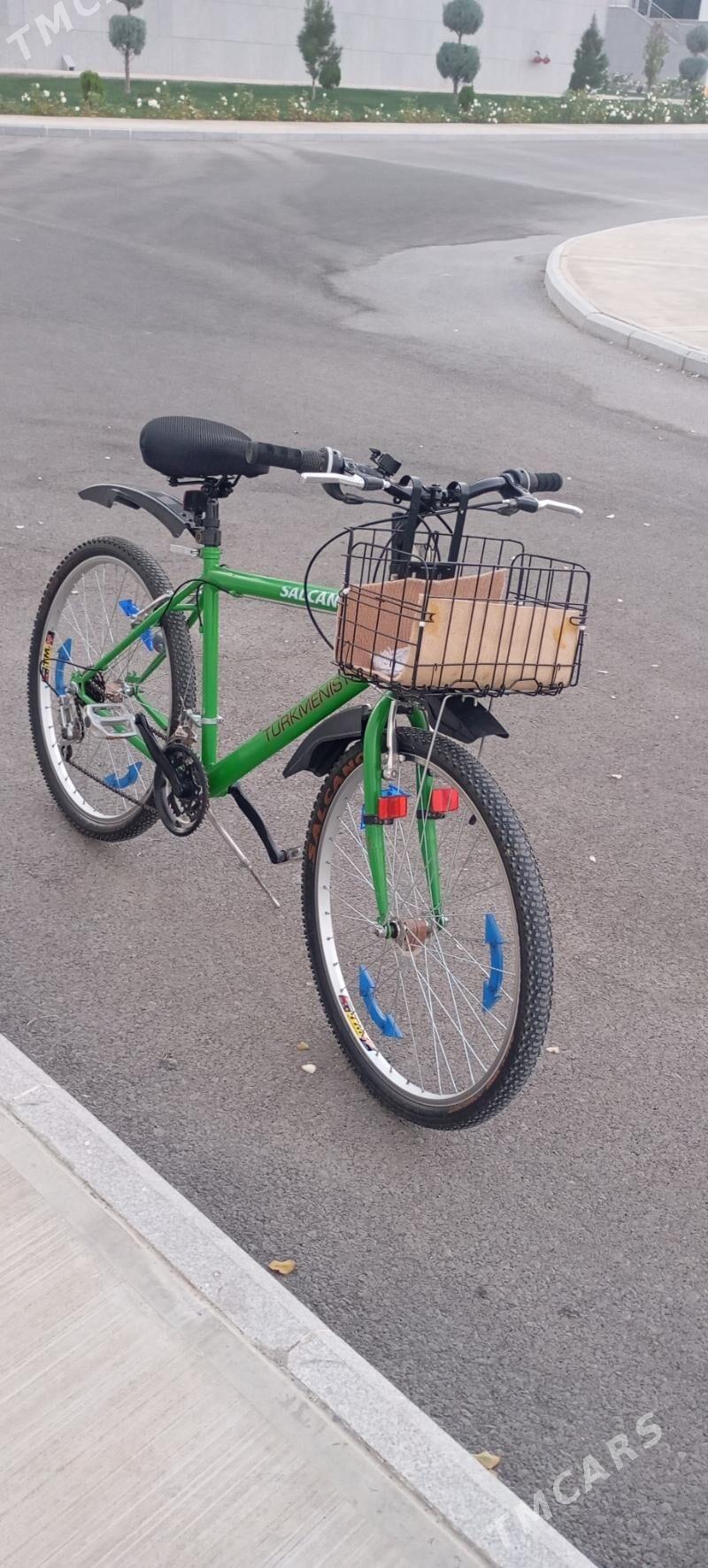 Tigir - Аркадаг - img 1