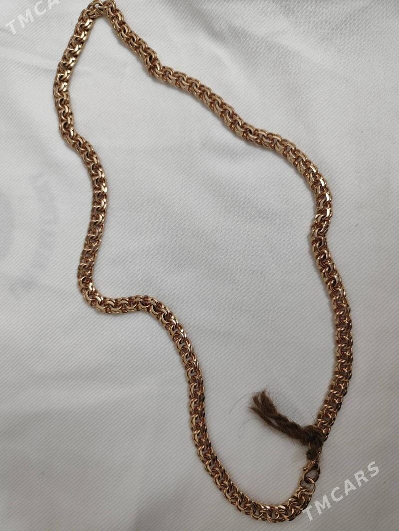 Gyzyl kardinal - Balkanabat - img 2