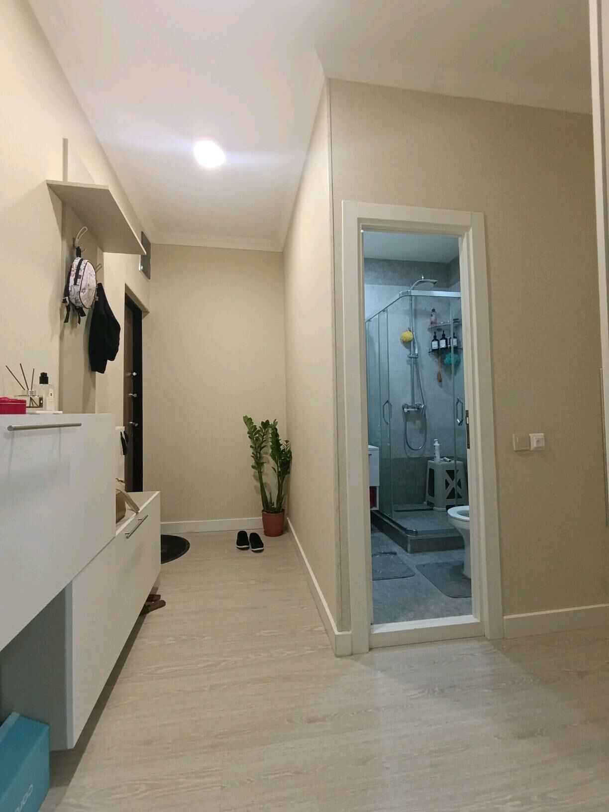 ГАУДАН ФУЛ 1КОМ ЕВРО - Ашхабад - img 7