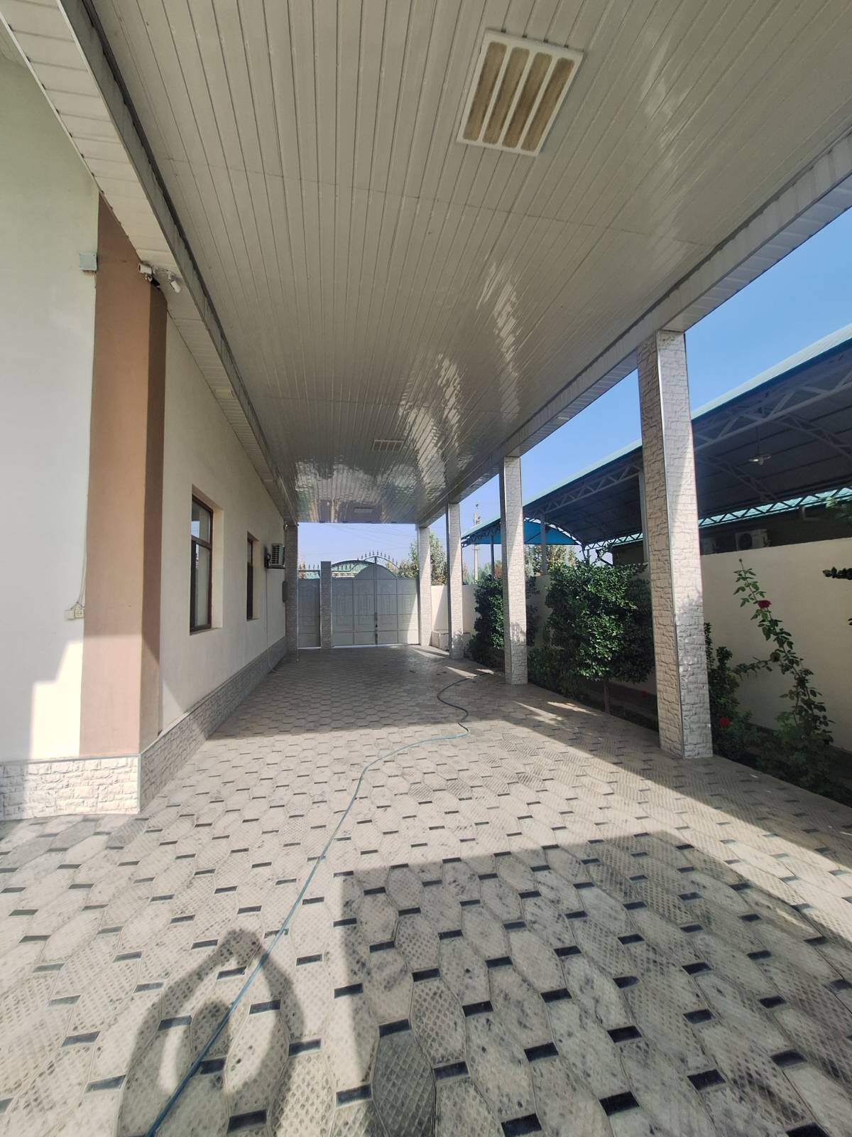 Arenda jay - Bagyr - img 8