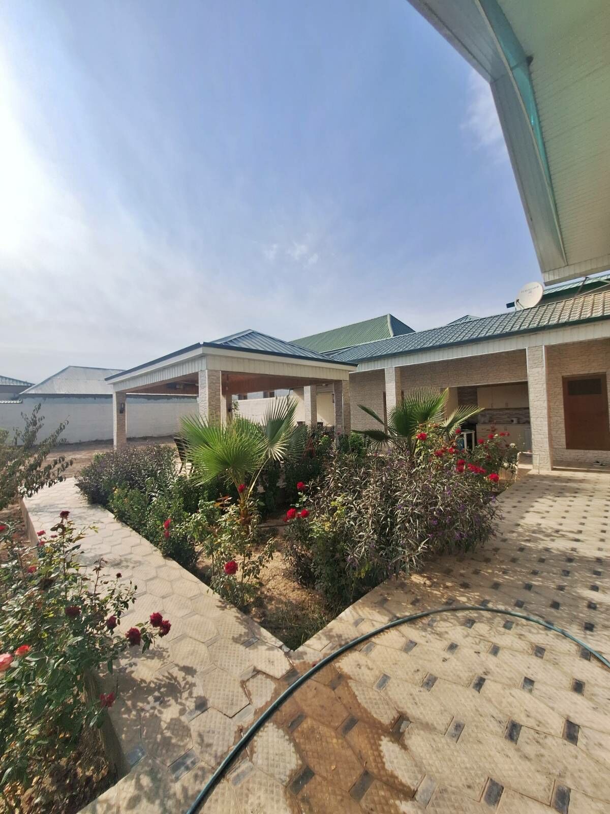 Arenda jay - Багир - img 1