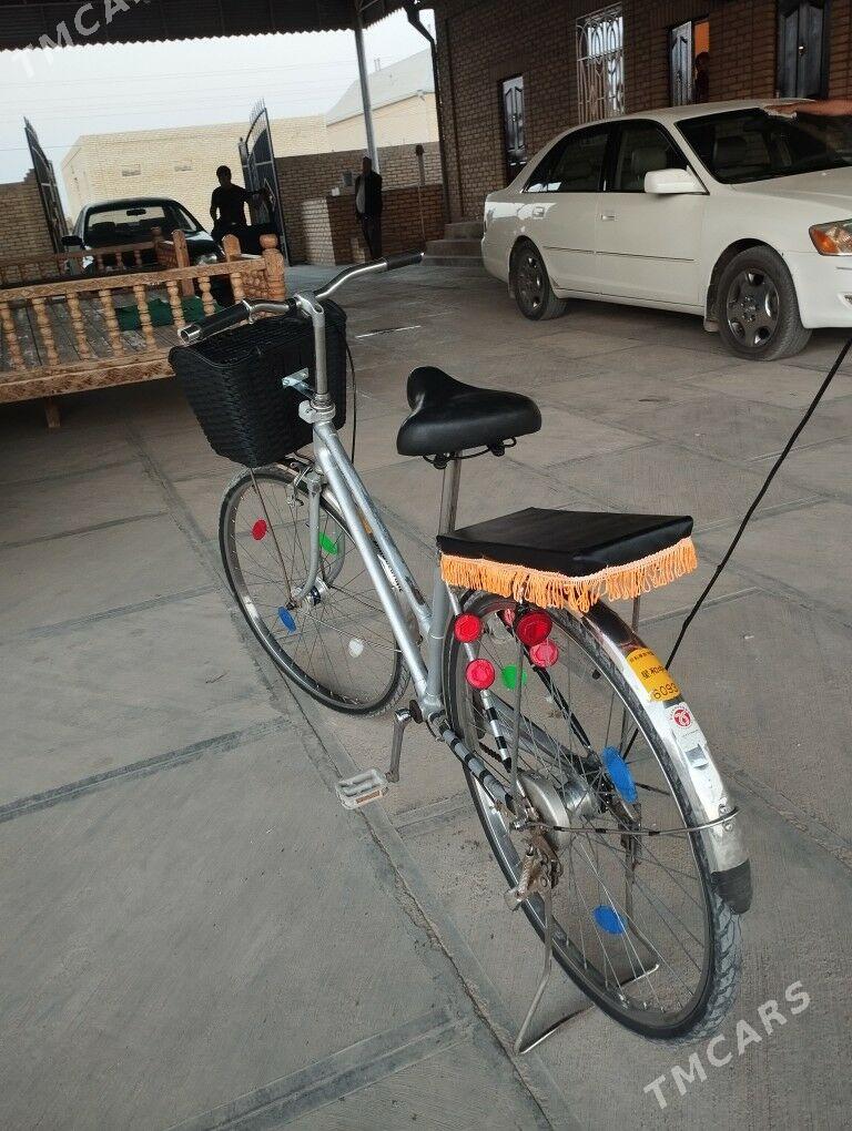 welseped 26 - Mary - img 4