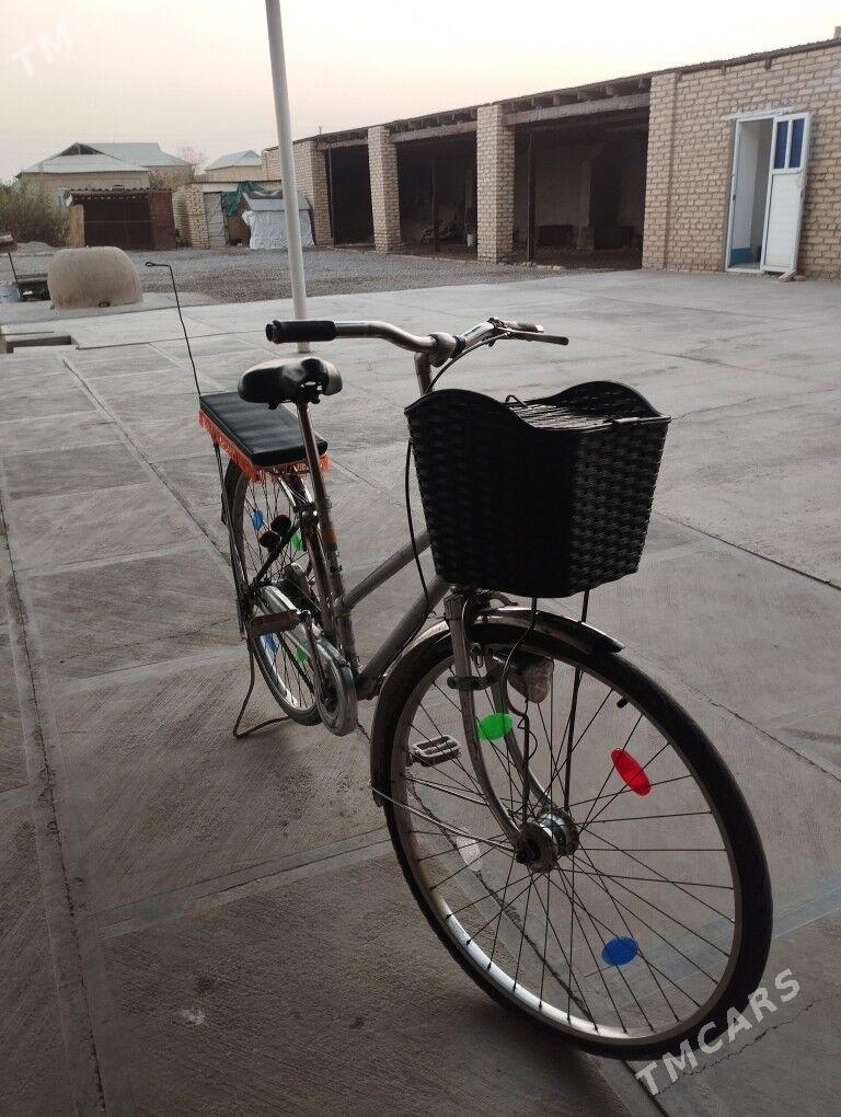 welseped 26 - Mary - img 3