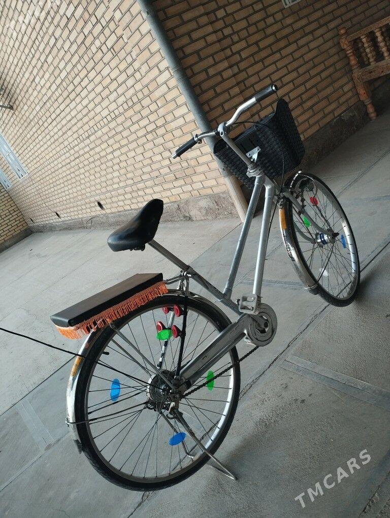 welseped 26 - Mary - img 2