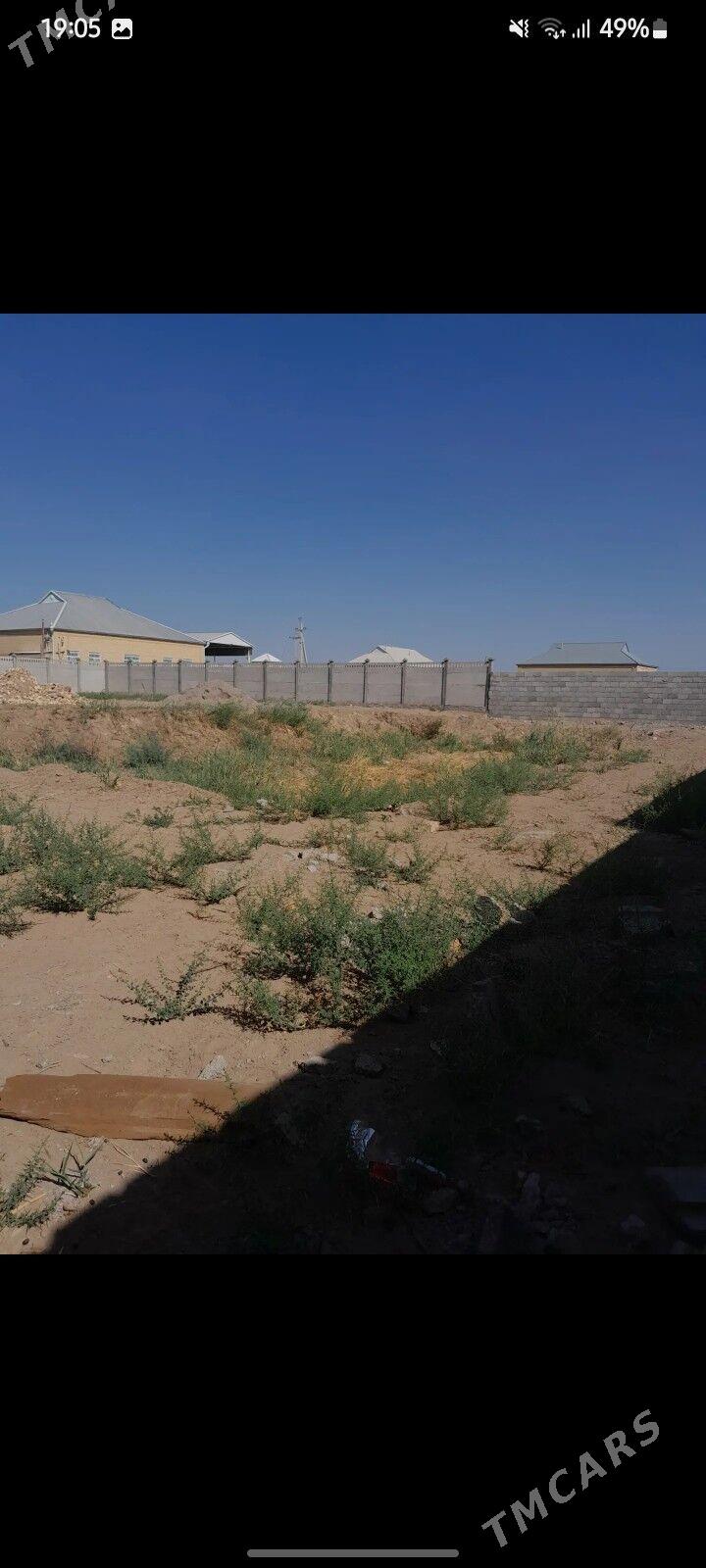 Mellek jay ýer - Mary - img 4