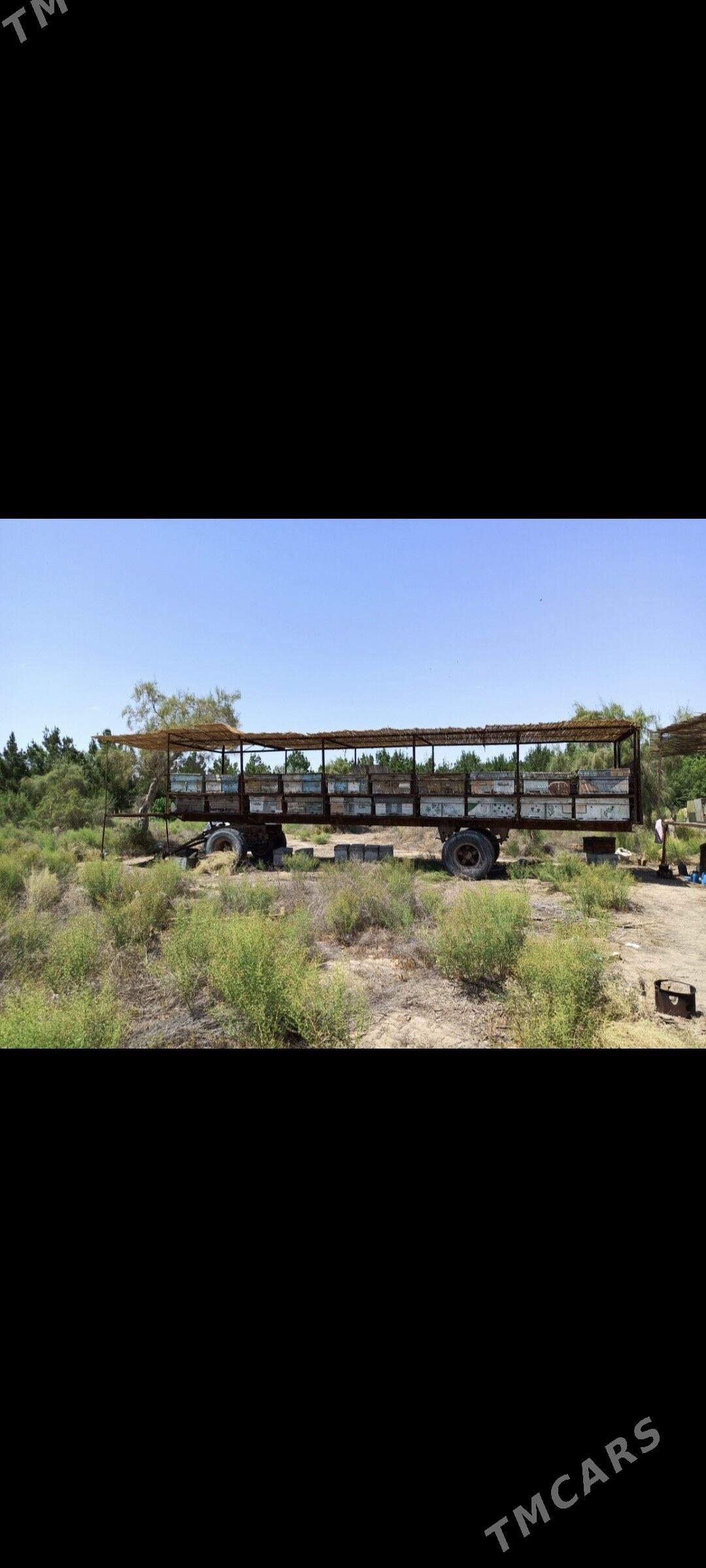 PRISEP ПРИЦЕП АРЫ - Байрамали - img 2