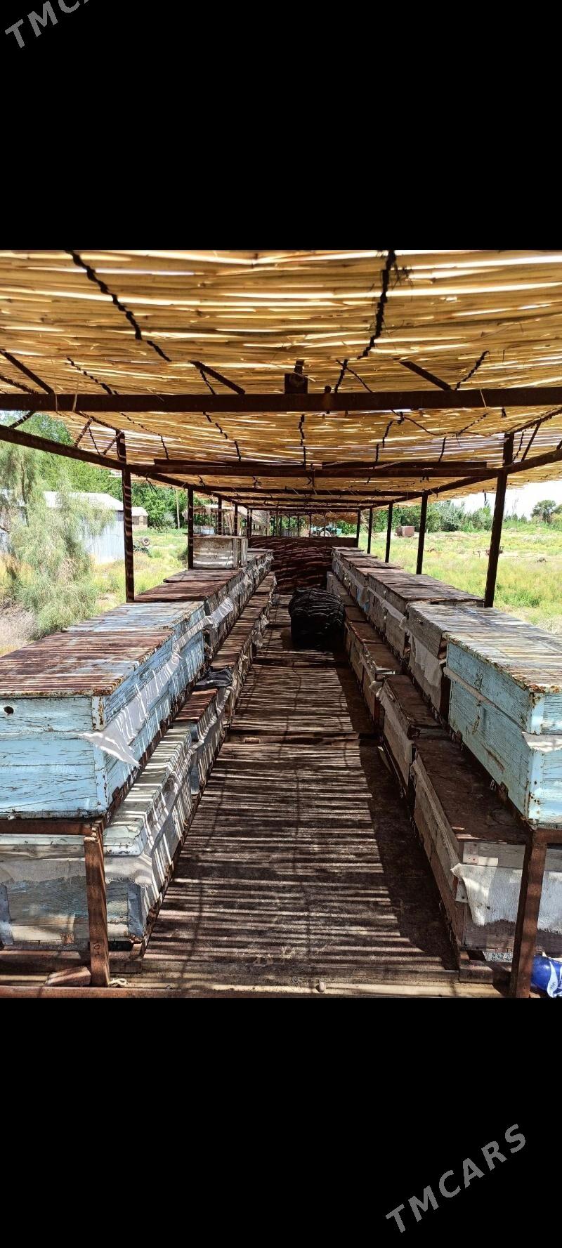 PRISEP ПРИЦЕП АРЫ - Байрамали - img 7