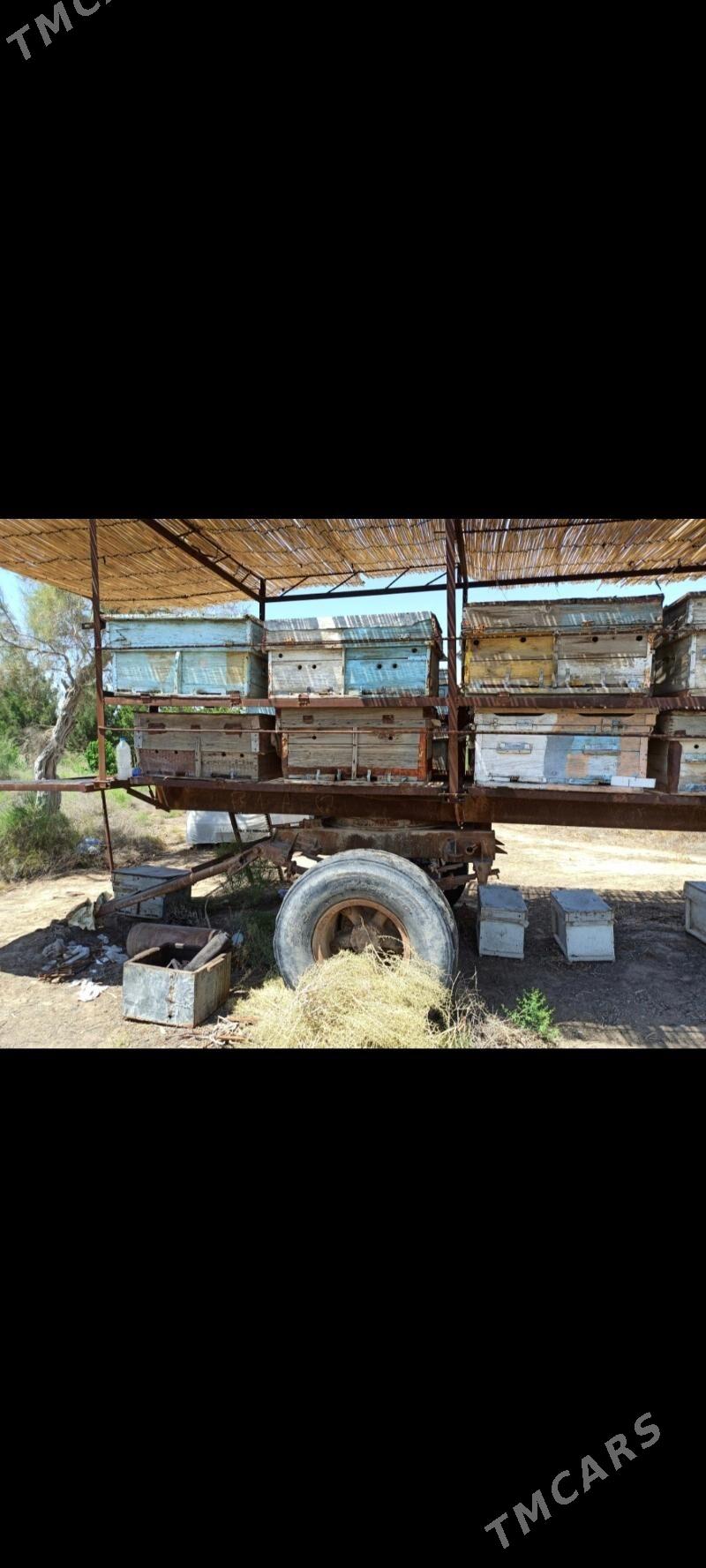 PRISEP ПРИЦЕП АРЫ - Байрамали - img 4