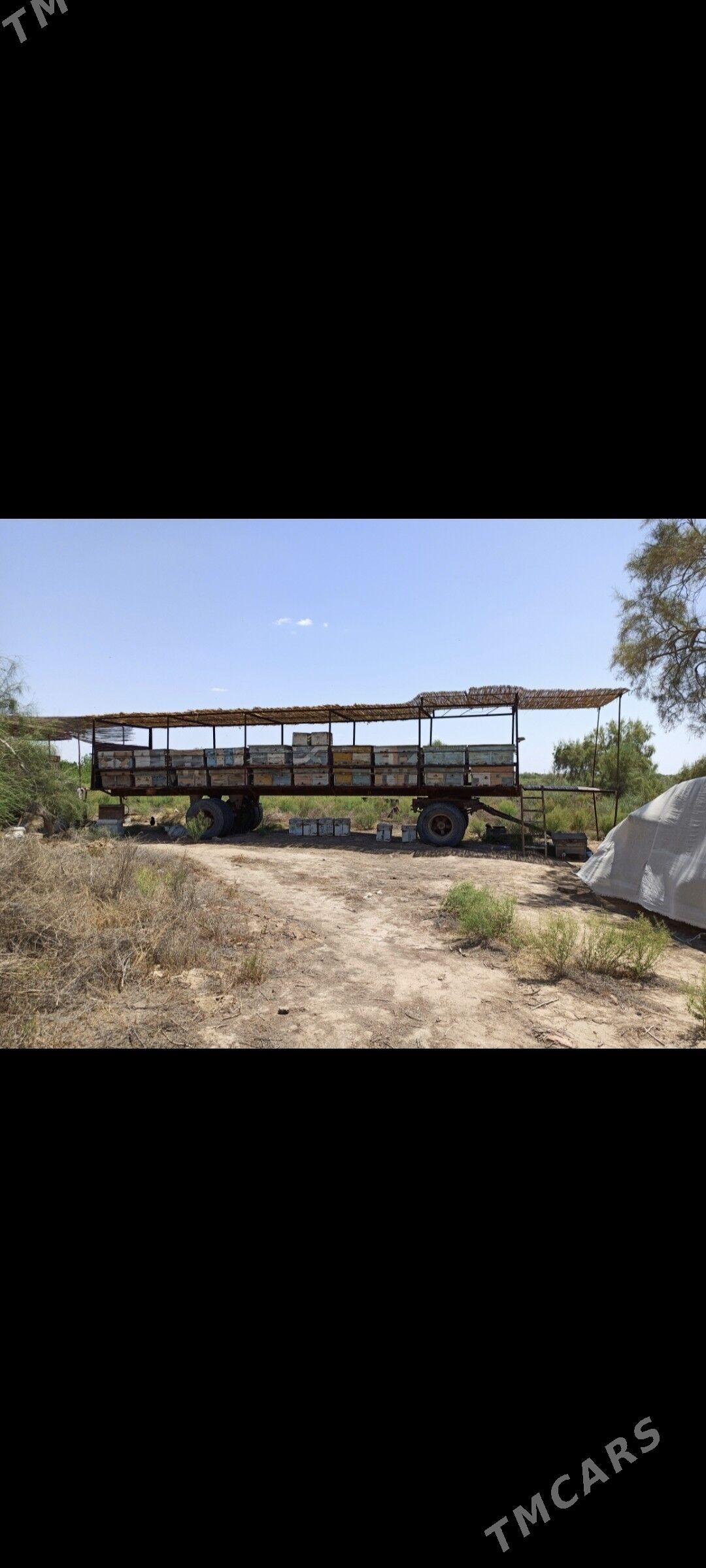 PRISEP ПРИЦЕП АРЫ - Байрамали - img 6