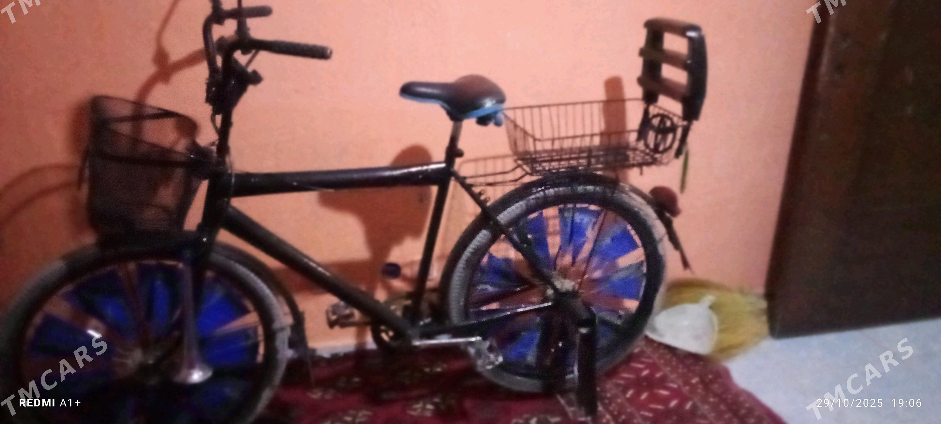 Tigir - Kaka - img 1