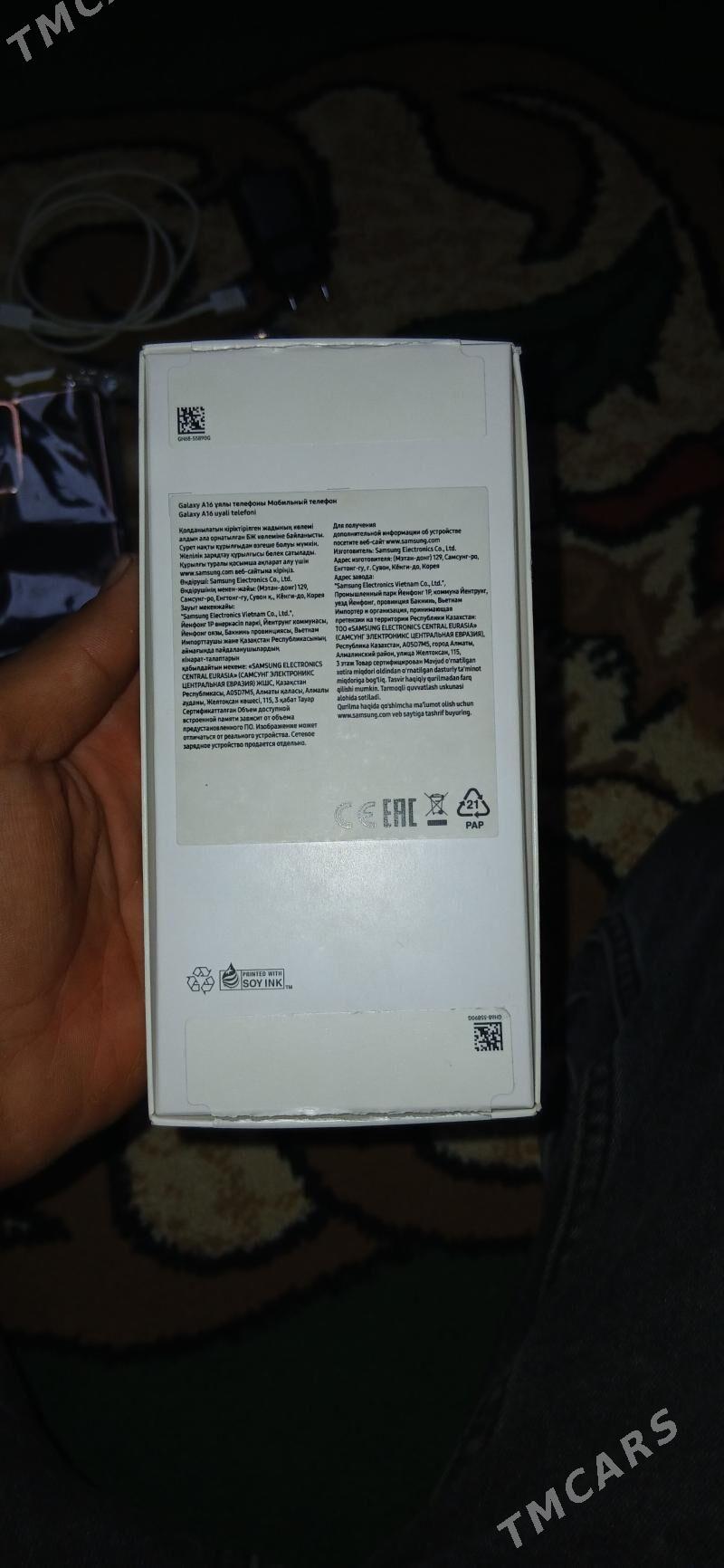 A16 - Sakarçäge - img 1