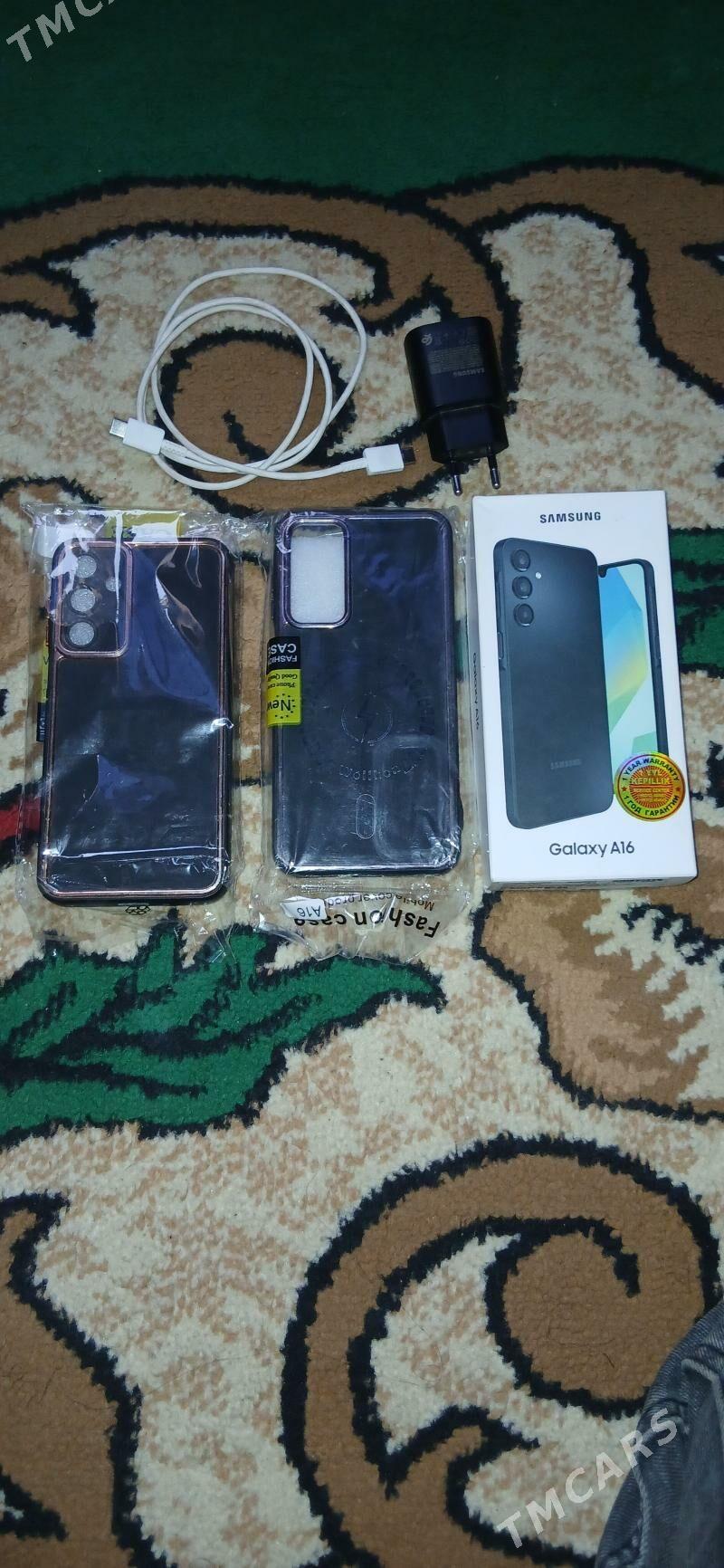 A16 - Sakarçäge - img 2