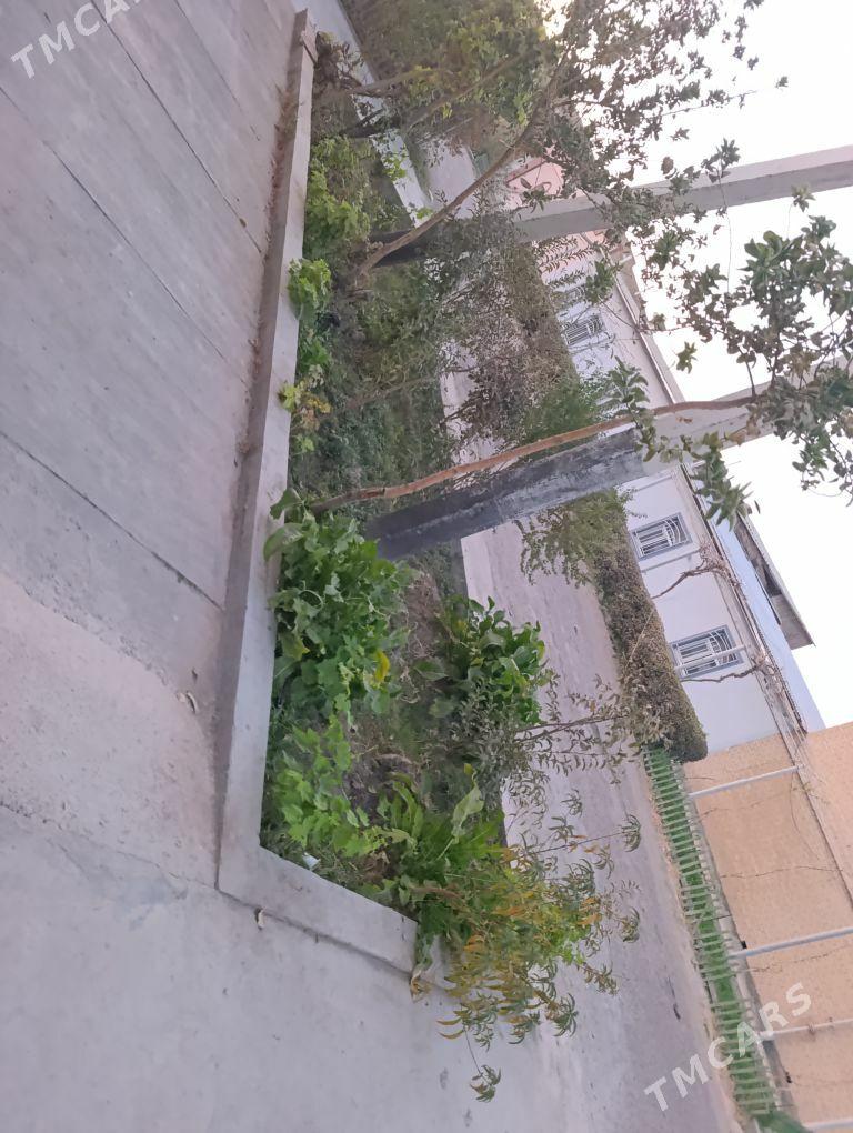 ишчи герек - Türkmenabat - img 2