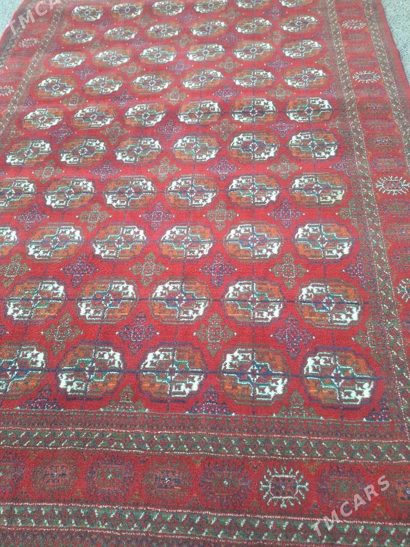 hali - 11 мкр - img 2