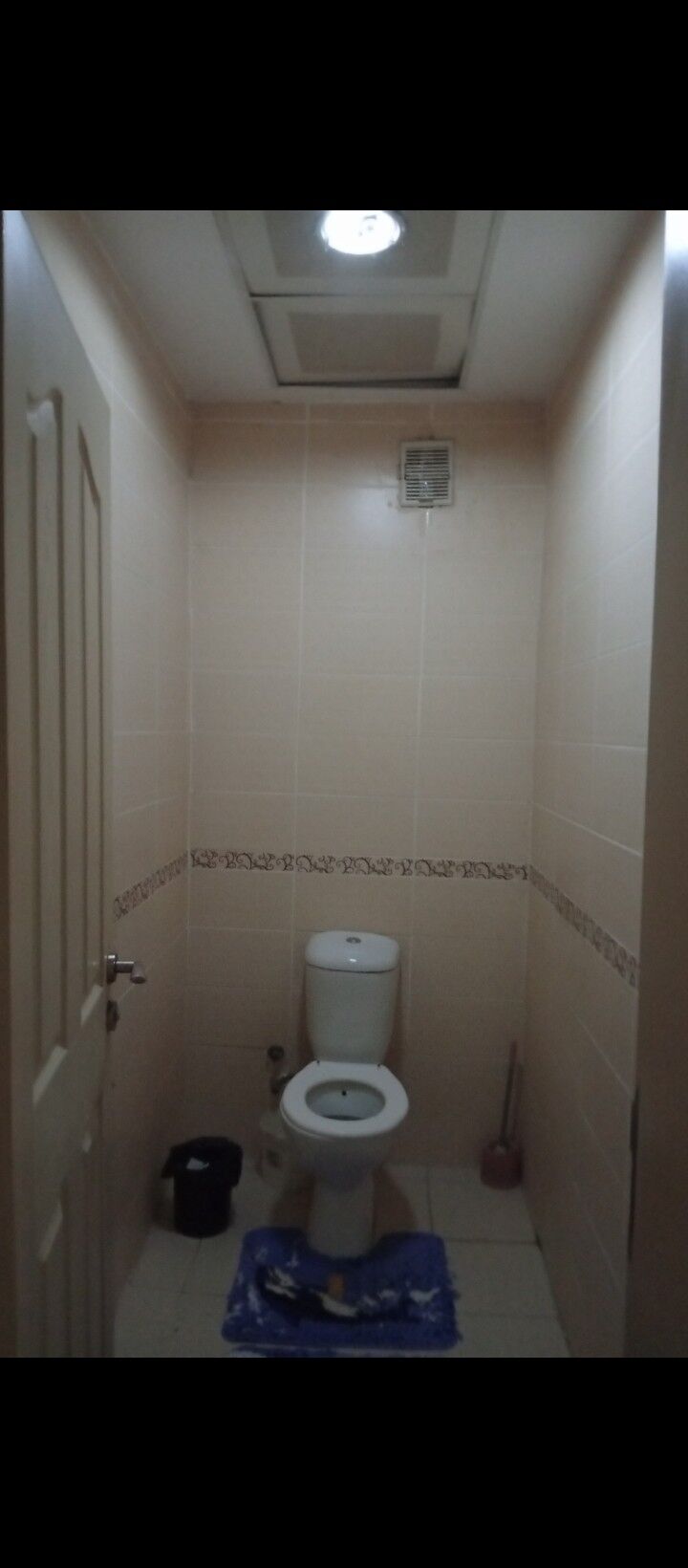 полуэлитка - Бузмеин ГРЭС - img 8