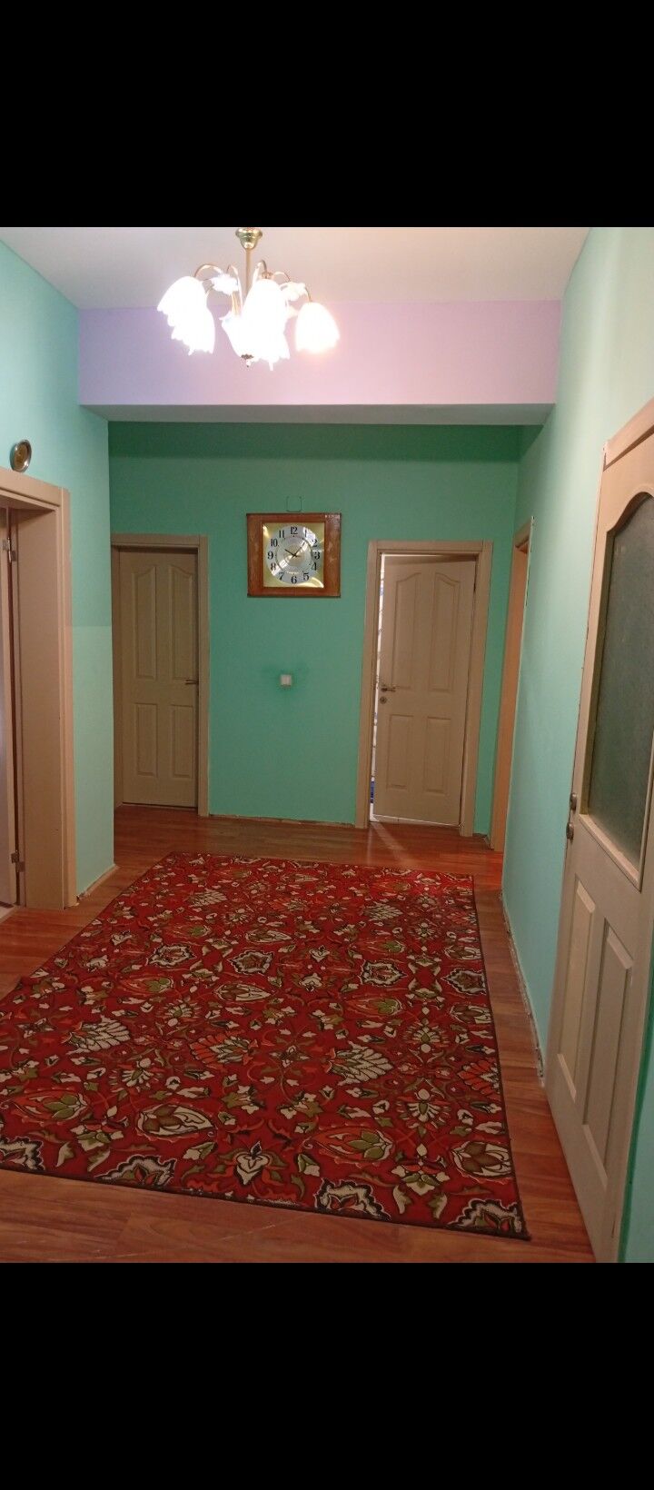 полуэлитка - Бузмеин ГРЭС - img 6