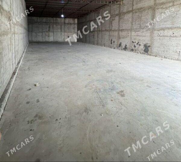 Ammar - Änew - img 1