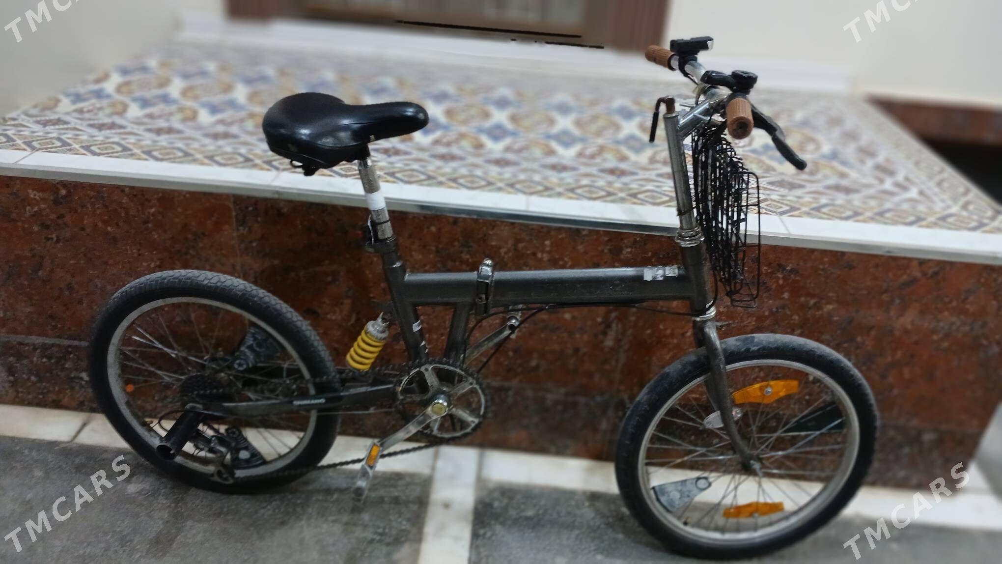 tigir - Herrikgala - img 2