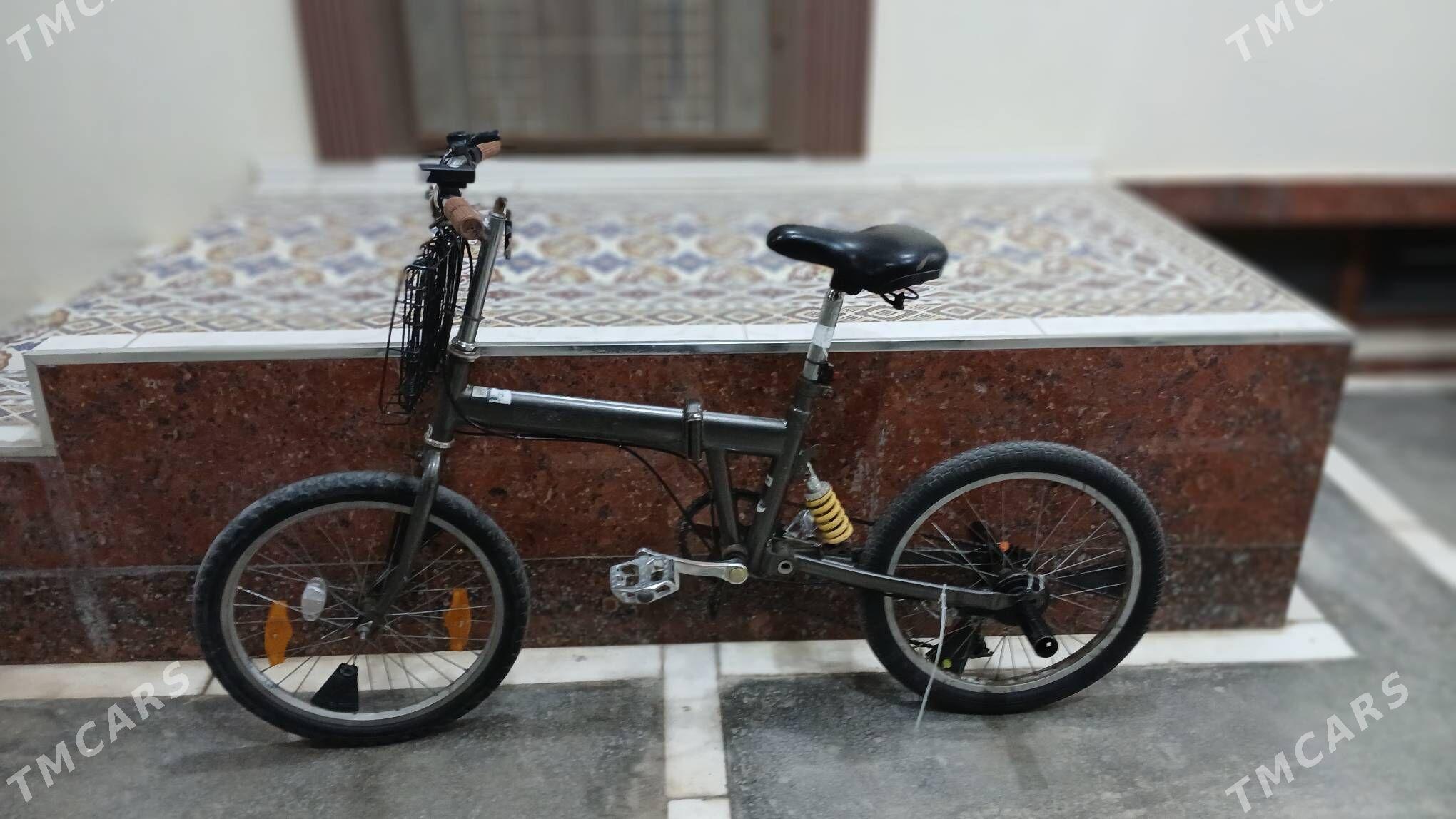 tigir - Herrikgala - img 3