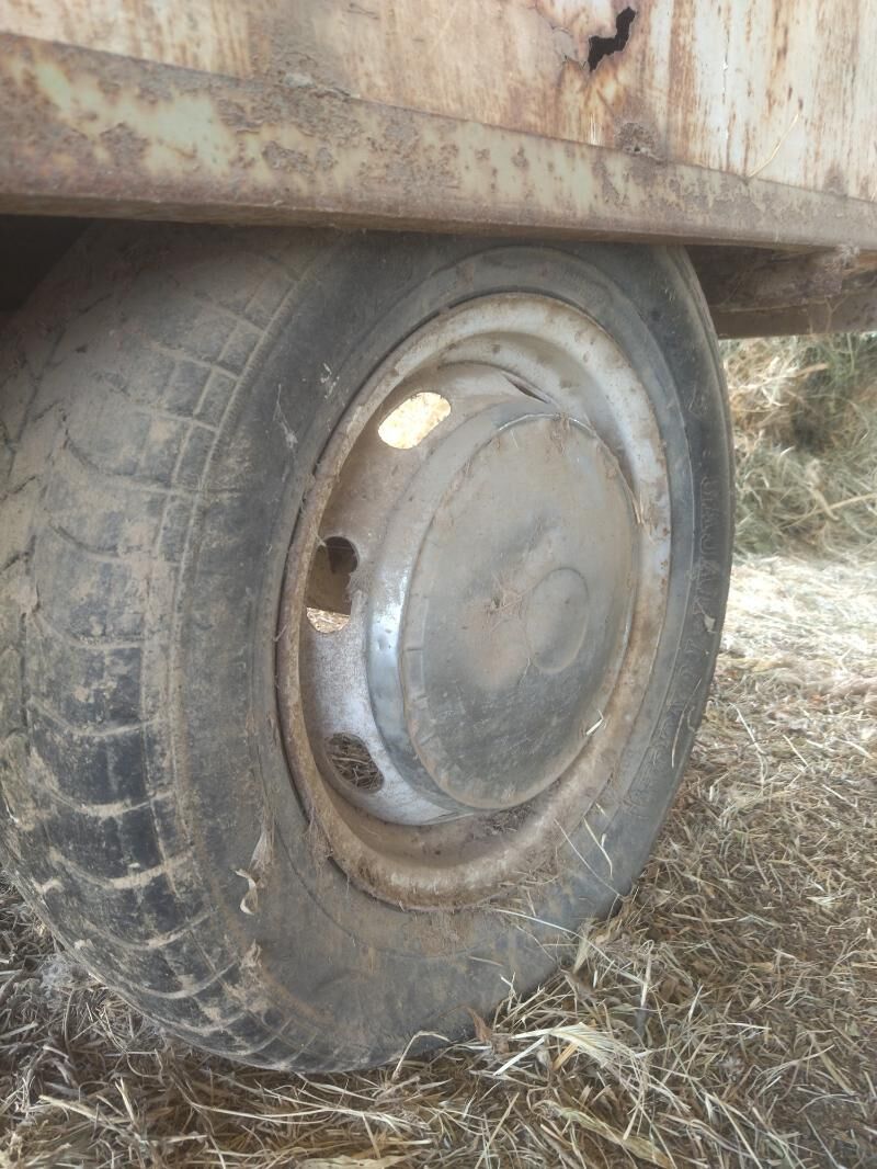 PRISSEP 2 400 TMT - Mary - img 5