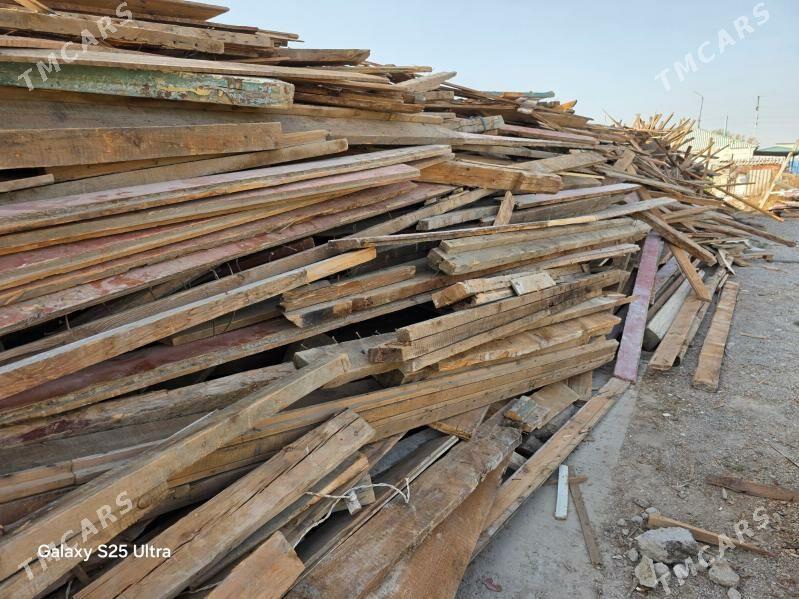 Agaç tagta - Änew - img 1