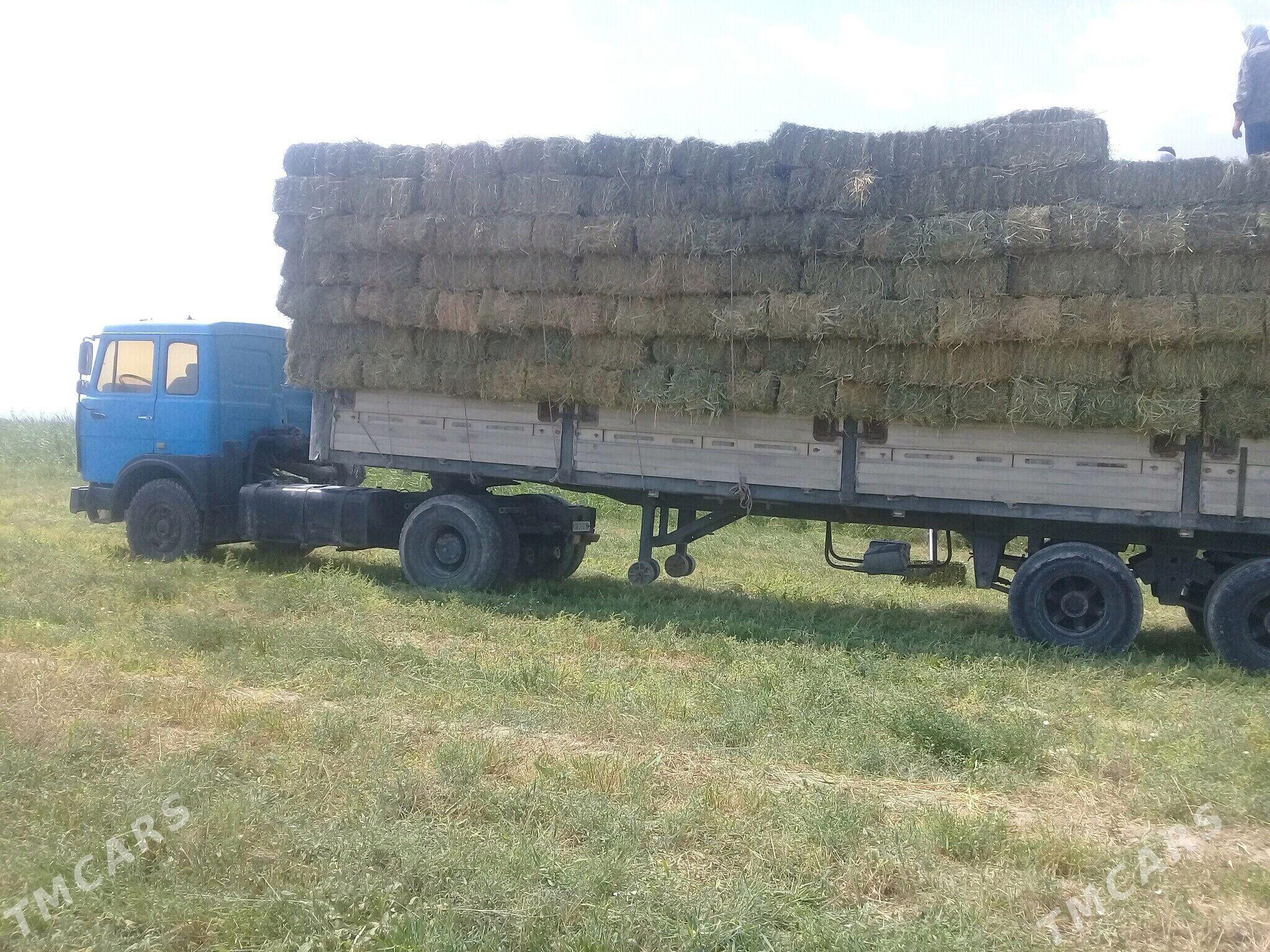 Maz Samosval 1990 - 190 000 TMT - Гызыларбат - img 4